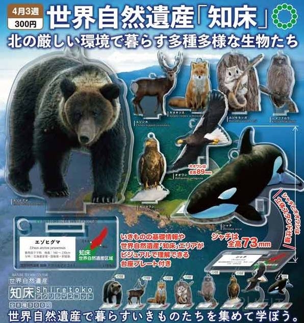 [스압주의] 2025년 4월 신상 출시 예정 가챠 토이 | 인스티즈