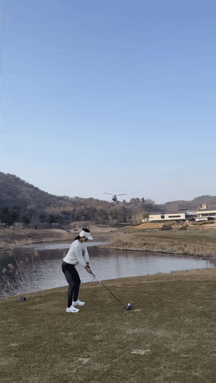 현재 난리난 소방헬기 골프공 논란.JPG | 인스티즈