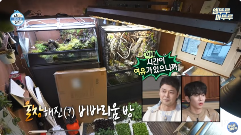 퇴사 뽐뿌 넣는 프리 선언 후 나혼산 김대호.jpg | 인스티즈