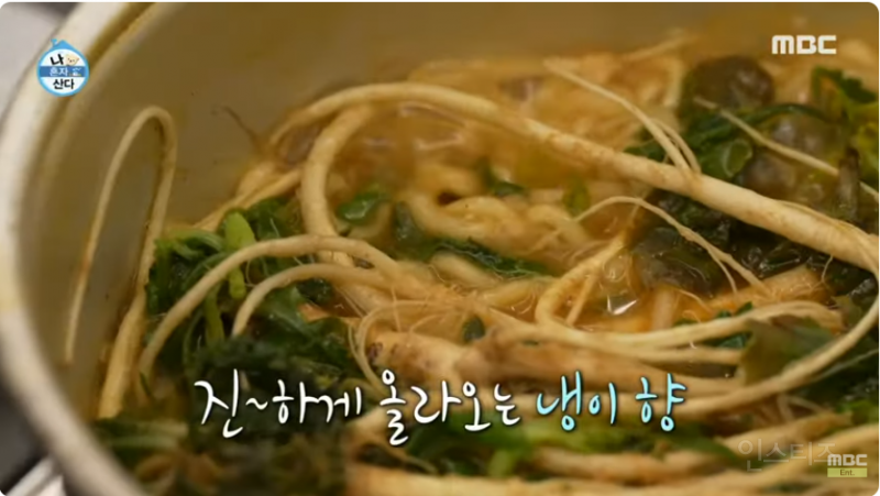 퇴사 뽐뿌 넣는 프리 선언 후 나혼산 김대호.jpg | 인스티즈