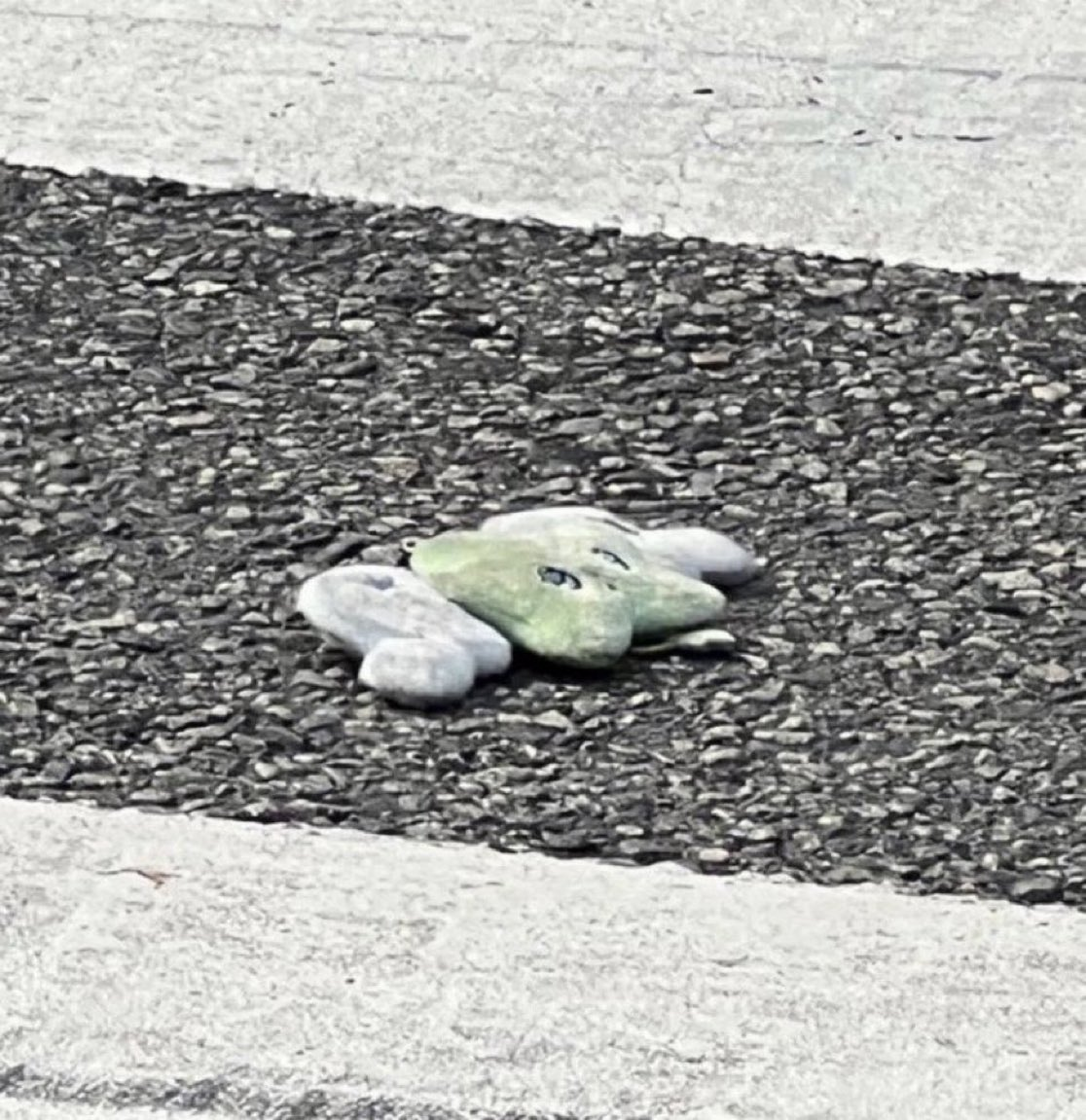 시키는거 다하고 안시킨거까지 다한 SM 아이돌 콘서트 후기 | 인스티즈