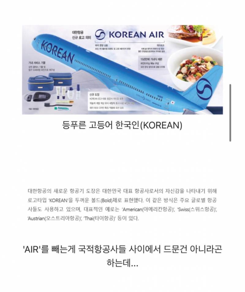 대한항공이 검토했던 신규 여객기 디자인.JPG | 인스티즈