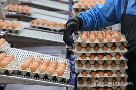 [정보/소식] 계란값도 오르는데... 미국" 한국, 연말까지 계란 좀 1억개씩 보내줘 사람이 죽게 생겼어 | 인스티즈