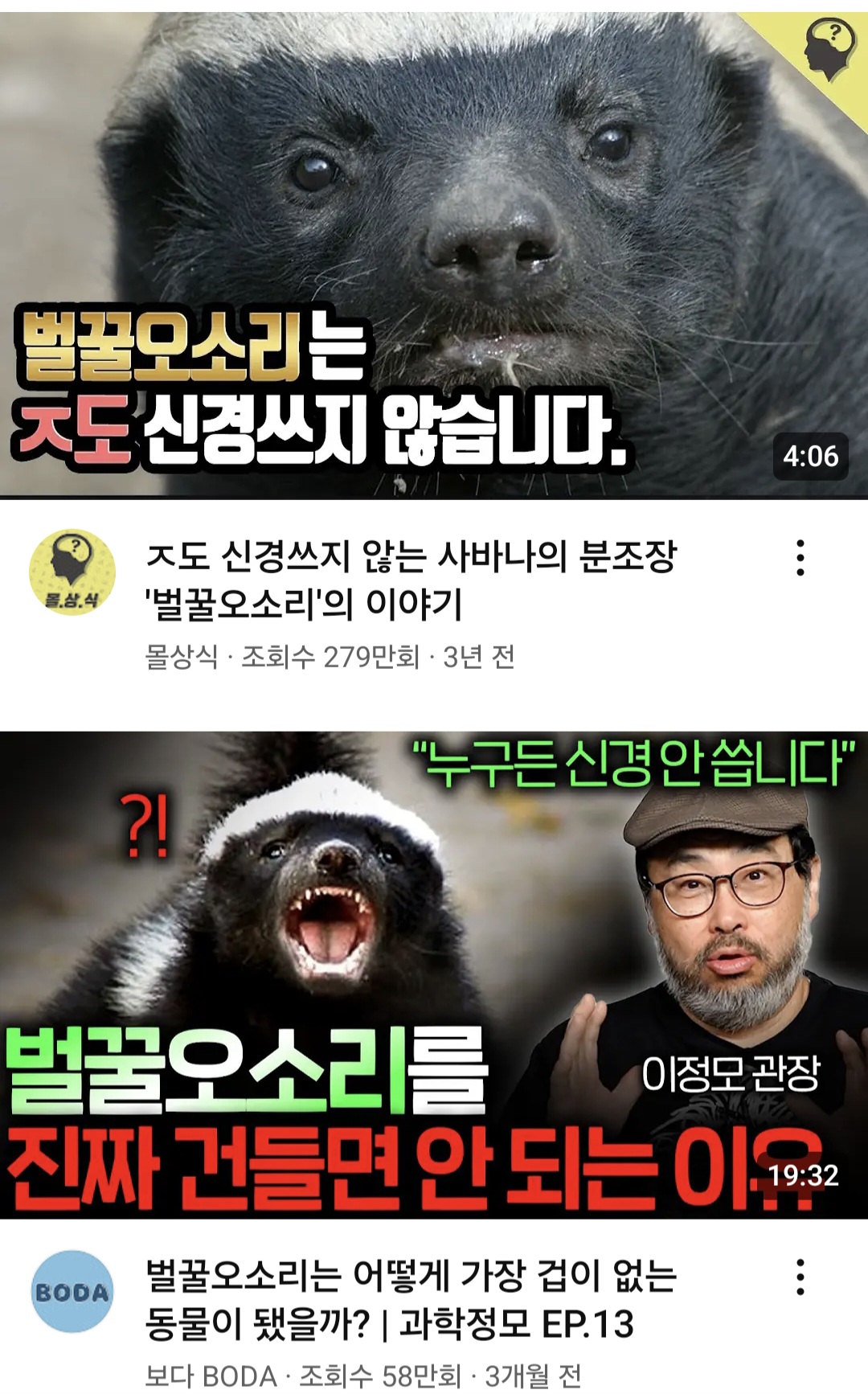 [잡담] 하이퍼나이프 벌꿀오소리 유명하구나 - 인스티즈(instiz) 드영배 카테고리