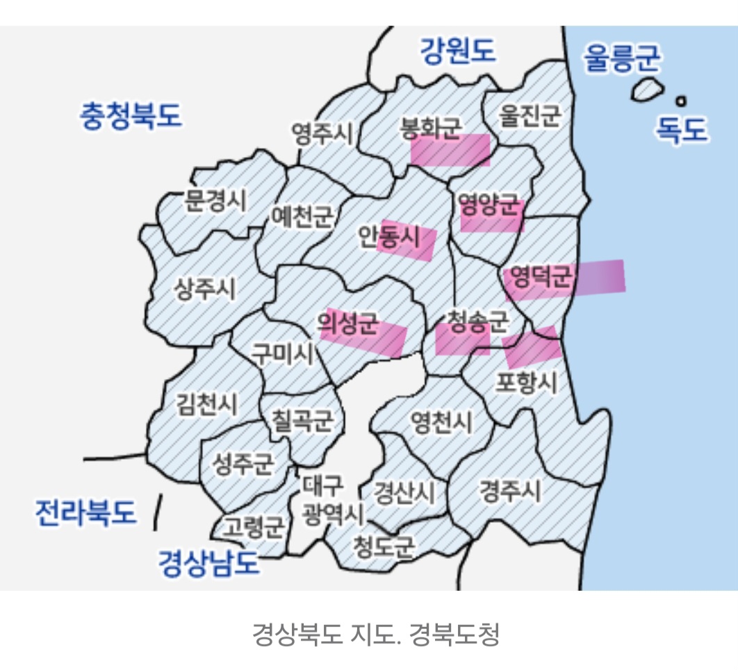 [잡담] 지금 경북 절반이 불타고있어.. 이 정도가 불 타고있다고 생각하면됨 | 인스티즈
