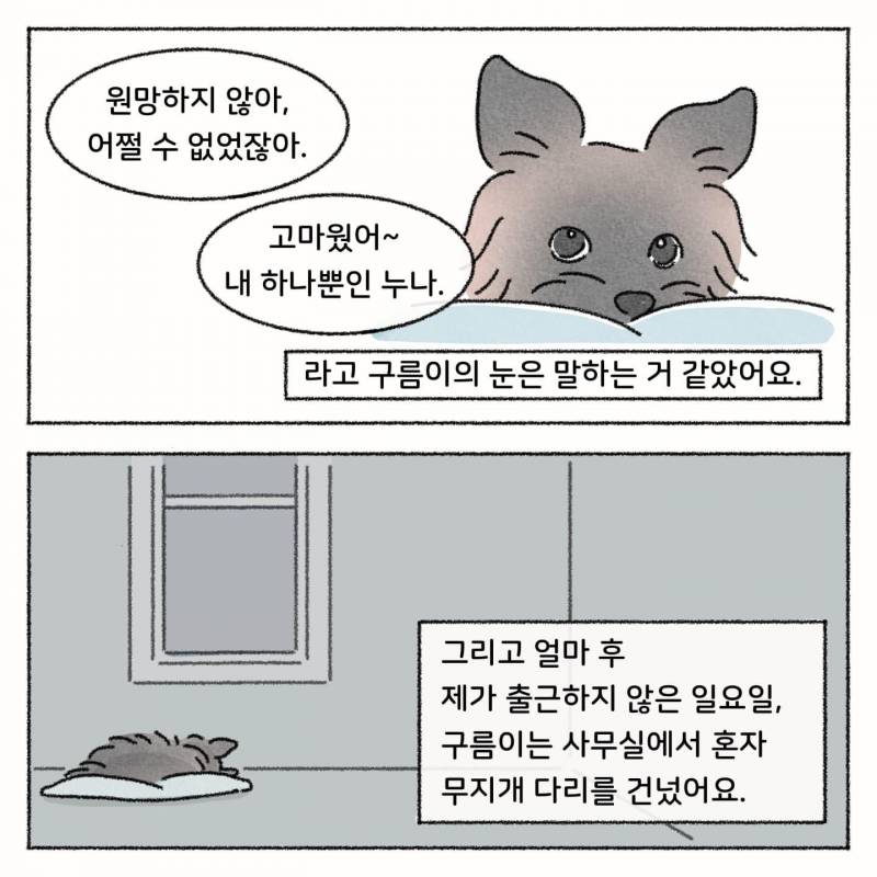 현재 귀여운 그림체가 오히려 기묘하다고 난리 난 사연툰.JPG | 인스티즈