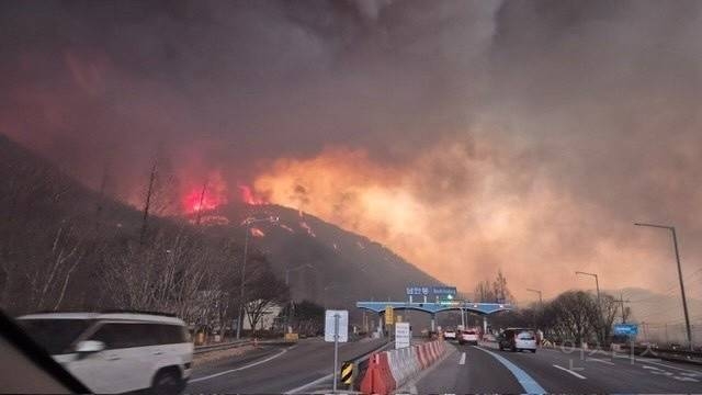 '산불 18명 사망자' 대부분 노약자…대피하다 도로·차안서 숨져 | 인스티즈