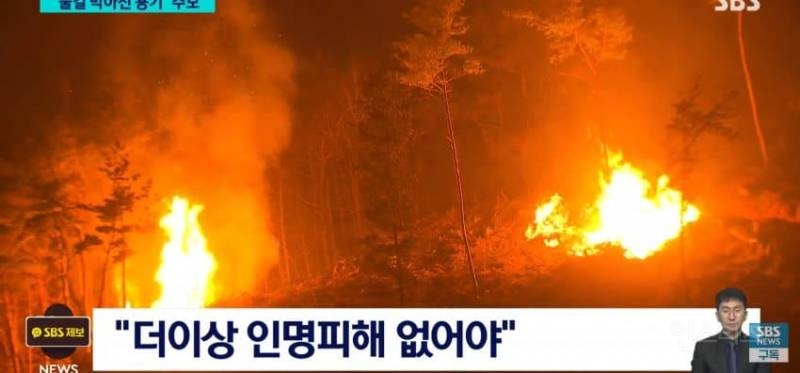 동료가 죽었다 "너희는 제발 공무원하지 마라" | 인스티즈