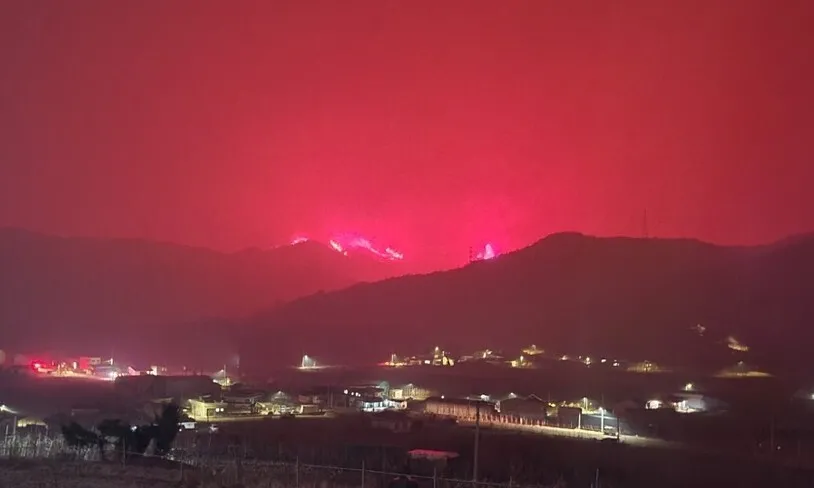 [잡담] 산불 색깔 뭐임 | 인스티즈