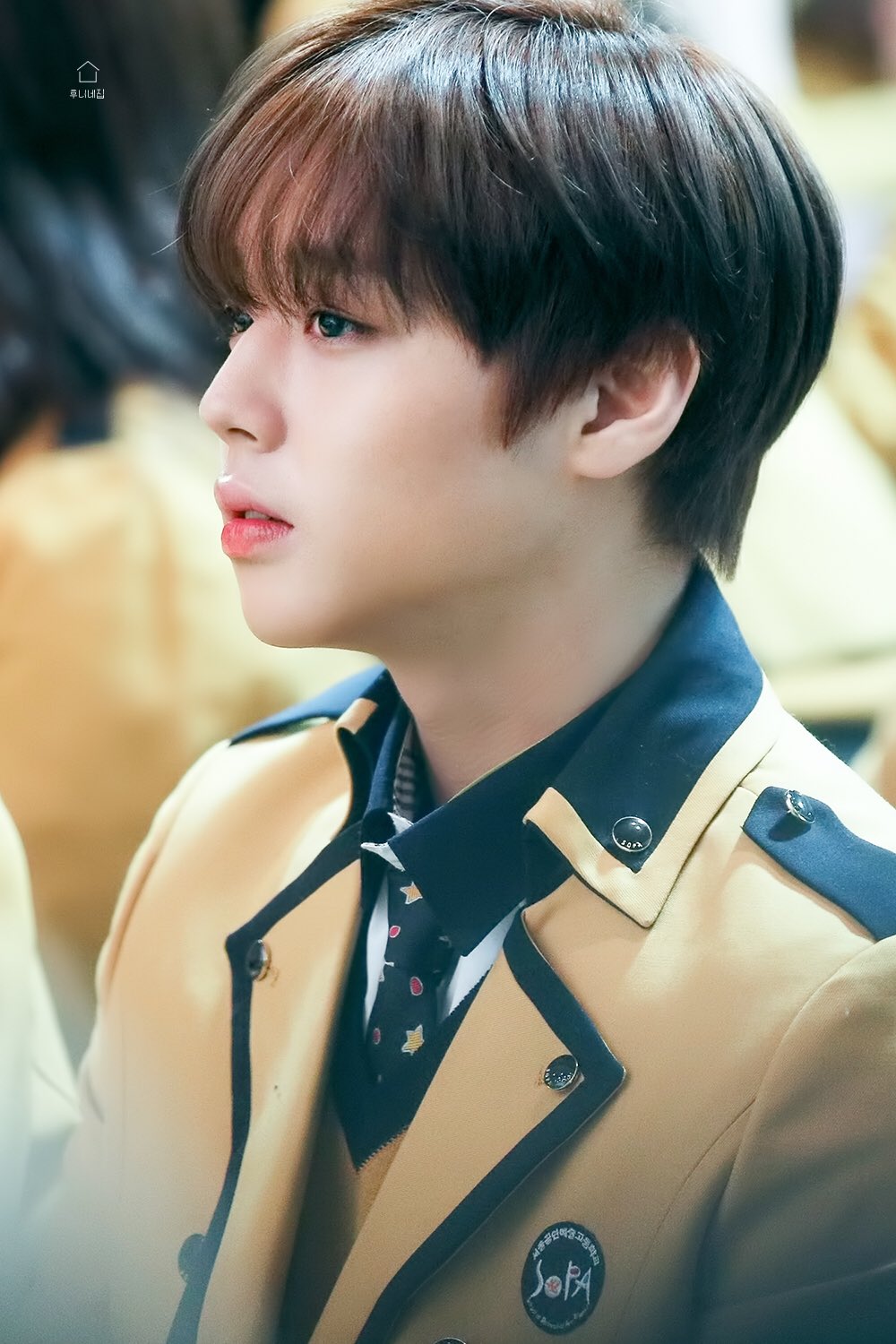[잡담] 약영 연시은 본체 박지훈 고등학교 시절 교복입은 모습 | 인스티즈