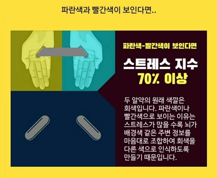 🚨스트레스 수치에 따라 다르게 보인다는 사진🚨 | 인스티즈