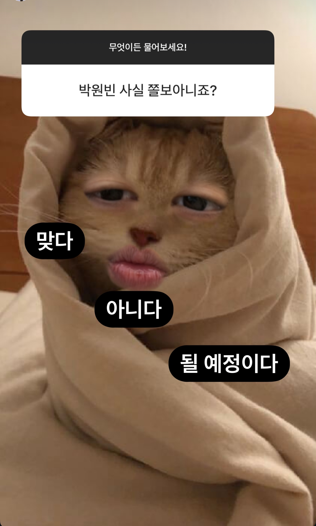 [잡담] 라이즈 공계 놀랍다…… | 인스티즈