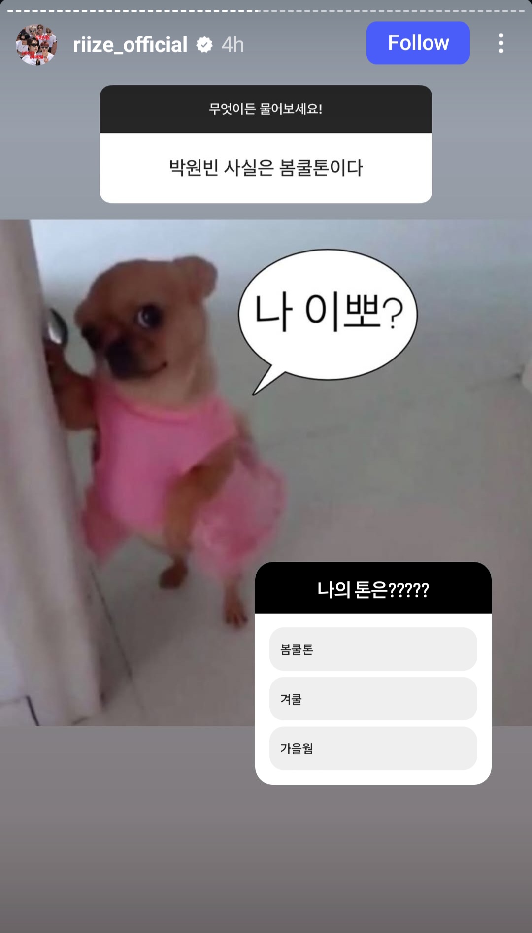 [잡담] 원빈 : 나 이뽀? - 인스티즈(instiz) 연예 카테고리