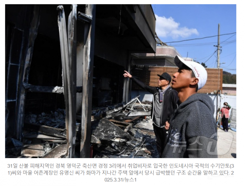 "얘 없었으면 우린 다 죽었을 것"…산불 속 할머니들 업고 뛴 외국인 | 인스티즈