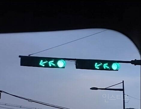 강한자만이 살아남는 부산 도로.jpg | 인스티즈