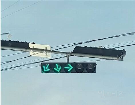 강한자만이 살아남는 부산 도로.jpg | 인스티즈