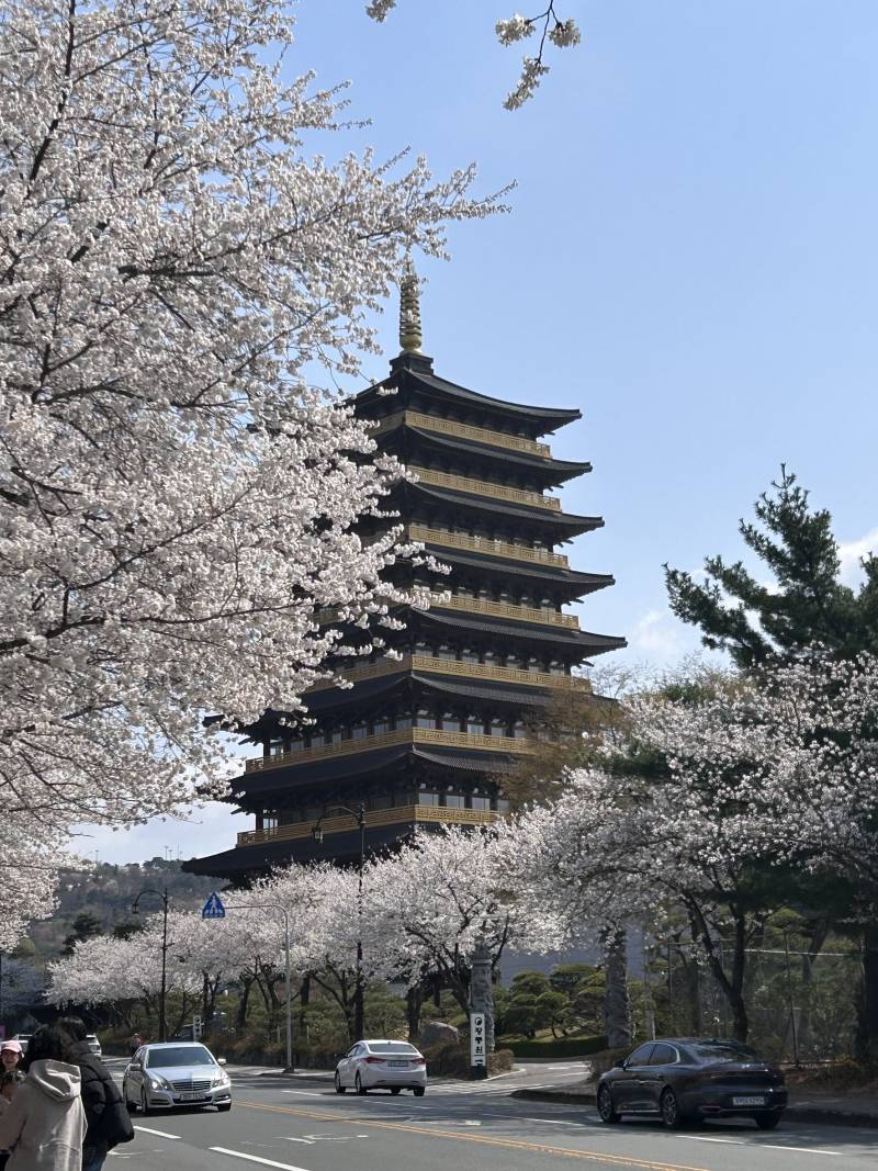 [잡담] 경주여행 알찾다 | 인스티즈