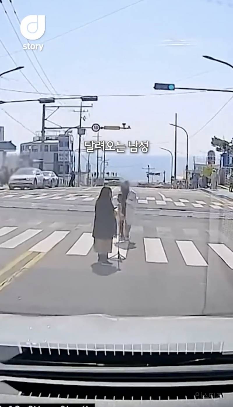 현재 논란중인 차량신호 무시하고 사진찍는 커플 ㄷㄷㄷㄷ | 인스티즈