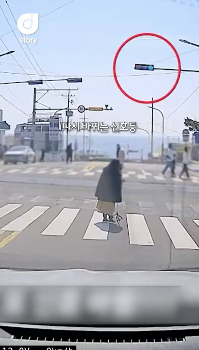 현재 논란중인 차량신호 무시하고 사진찍는 커플 ㄷㄷㄷㄷ | 인스티즈