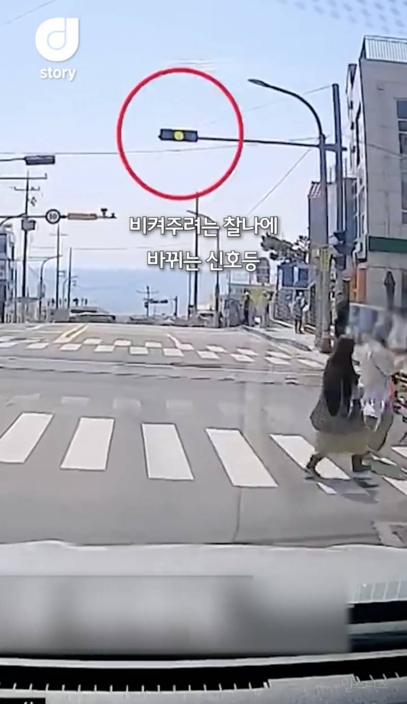 현재 논란중인 차량신호 무시하고 사진찍는 커플 ㄷㄷㄷㄷ | 인스티즈
