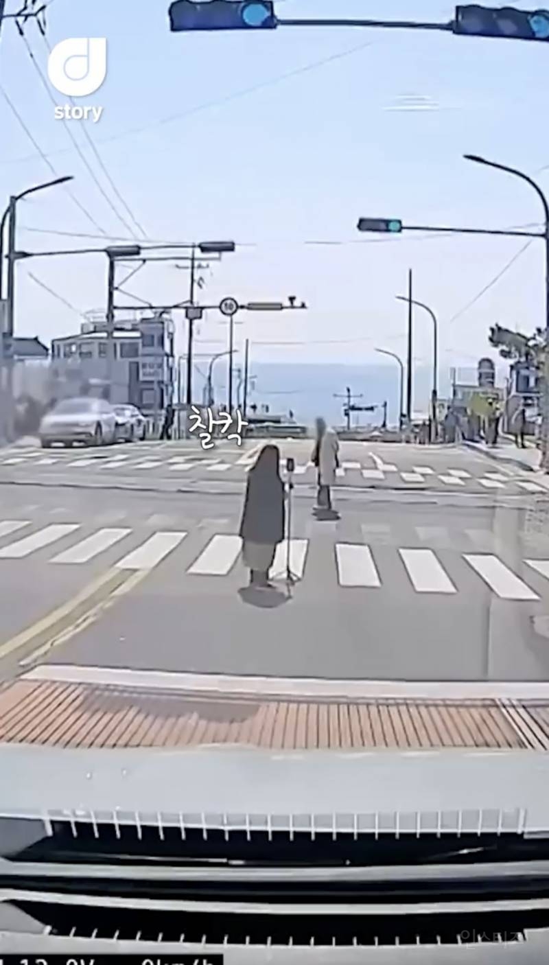 현재 논란중인 차량신호 무시하고 사진찍는 커플 ㄷㄷㄷㄷ | 인스티즈