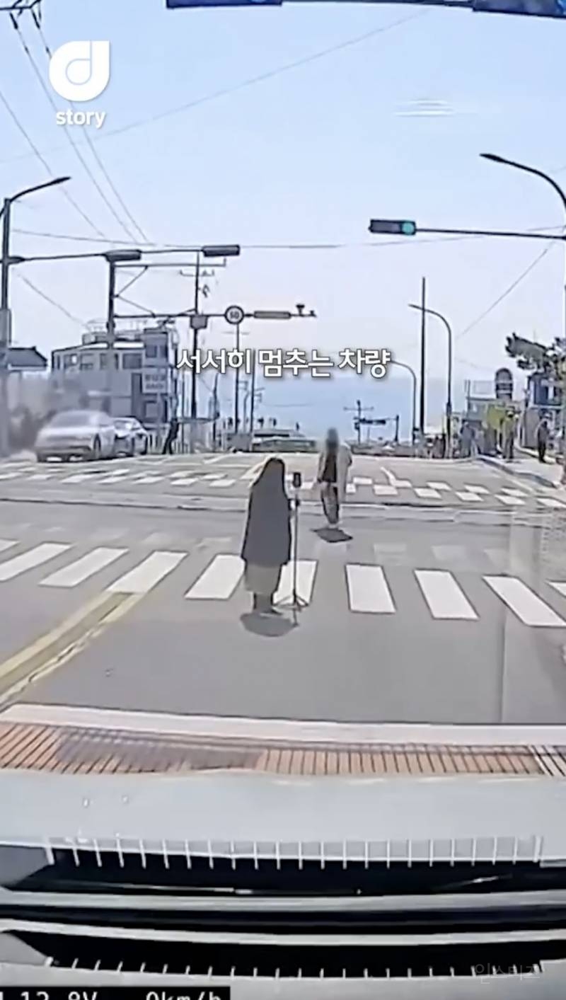 현재 논란중인 차량신호 무시하고 사진찍는 커플 ㄷㄷㄷㄷ | 인스티즈