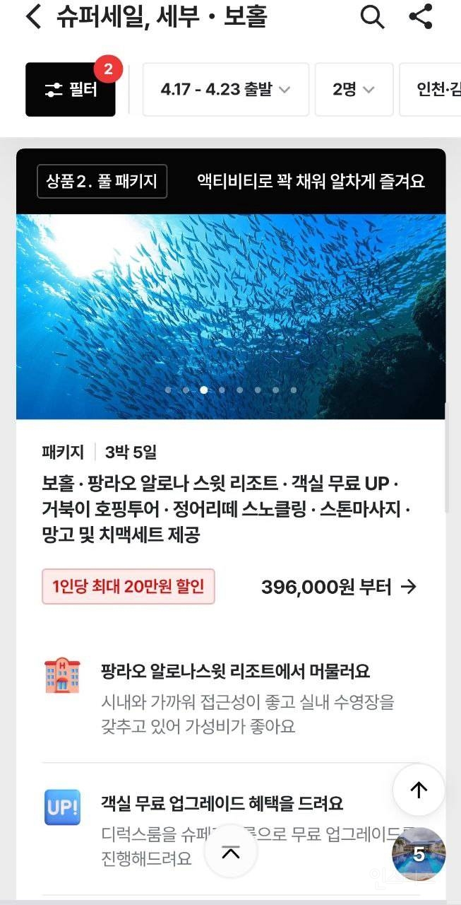 보홀 거북이 호핑투어+정어리떼 스노쿨링 요즘 핫한 액티비티 모음 | 인스티즈