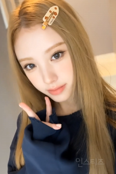 특이한 성씨를 가졌다는 아이돌 모음 | 인스티즈