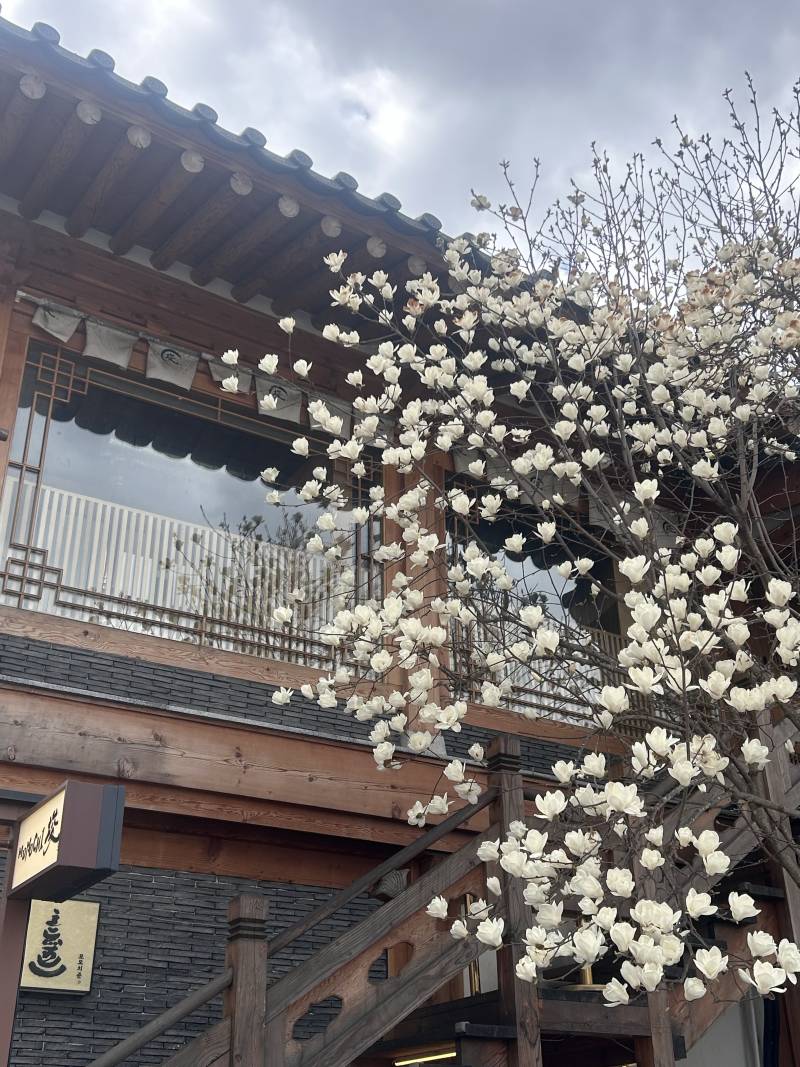 [잡담] 경주여행 알찾다 | 인스티즈