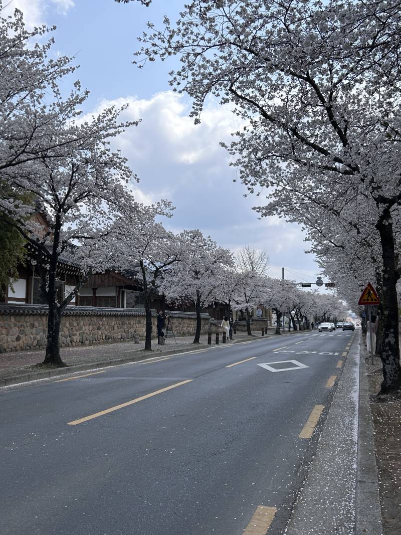 [잡담] 경주여행 알찾다 | 인스티즈