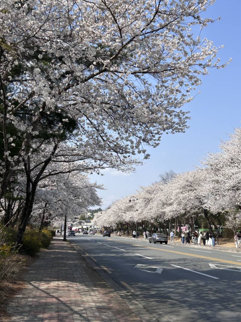 [잡담] 경주여행 알찾다 | 인스티즈