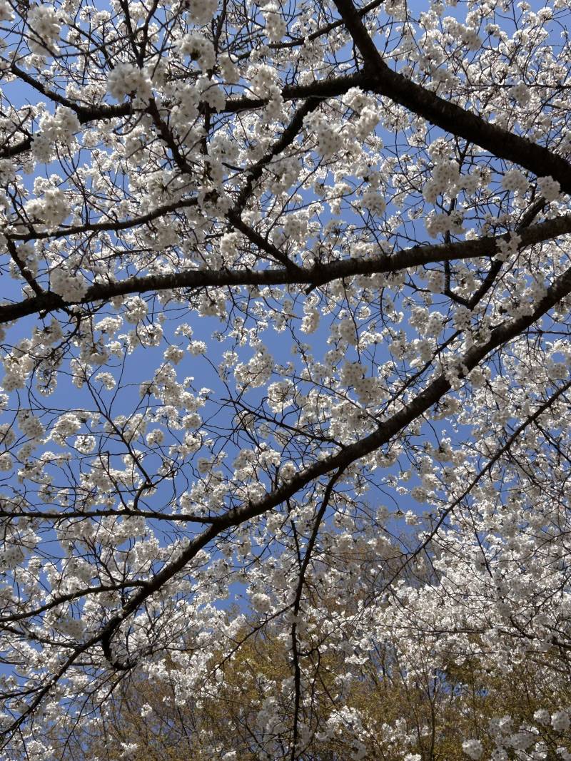 [잡담] 경주여행 알찾다 | 인스티즈