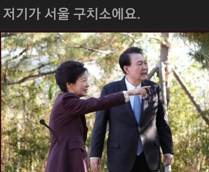  실시간으로 보는 윤석열 상황6