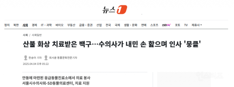  산불 화상 치료받은 백구…수의사가 내민 손 핥으며 인사 &apos;뭉클&apos;