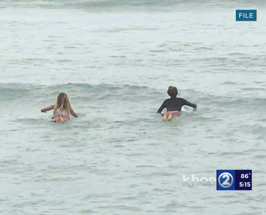 생각보다 위험할 수 있는 스포츠, 서핑(Surfing) | 인스티즈