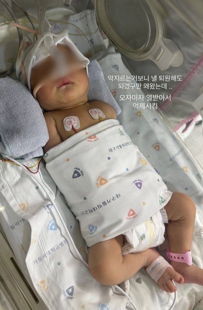 신생아 학대로 난리인 대가대병원 충격적인 점 | 인스티즈