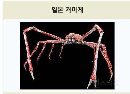  솔직히 이순신 장군 성역화 올려치기 짜증나는 게