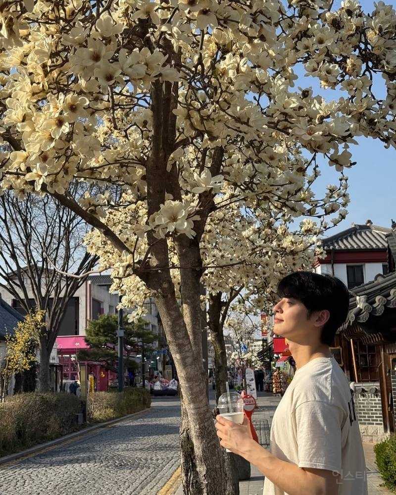 이건 무조건 소장각인 벚꽃 남친짤 차은우.jpg | 인스티즈