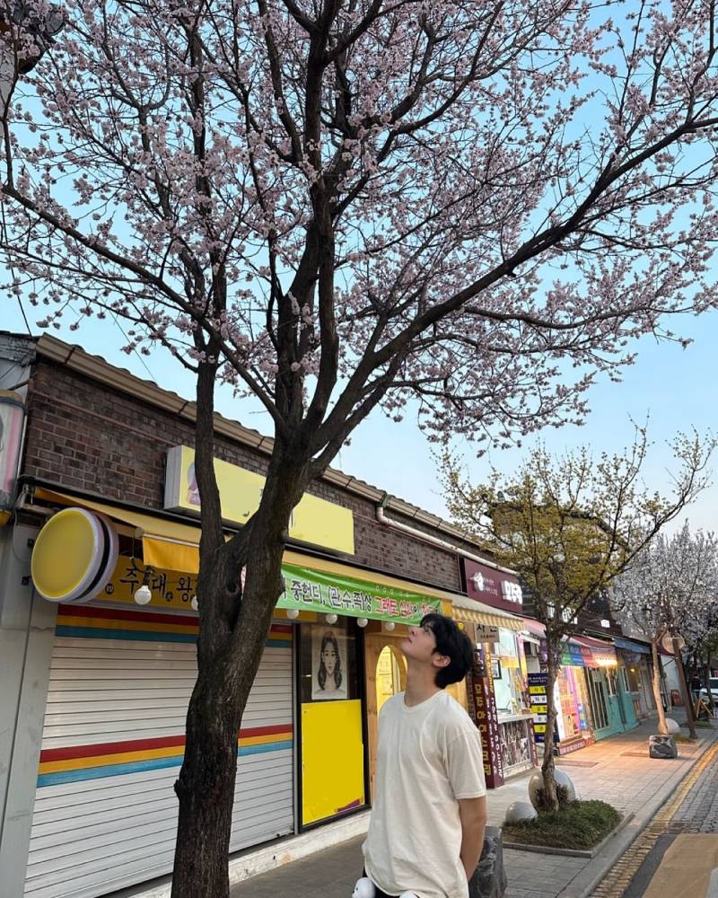 현재 이유없이 고자극이라는 차은우 전주여행.JPG | 인스티즈