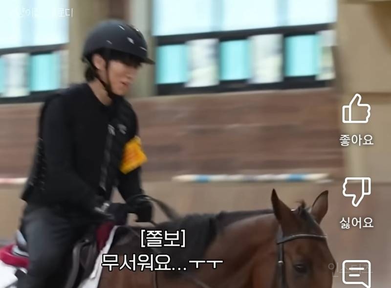 소싯적에 승마좀 해봤다는 아이돌.jpg | 인스티즈