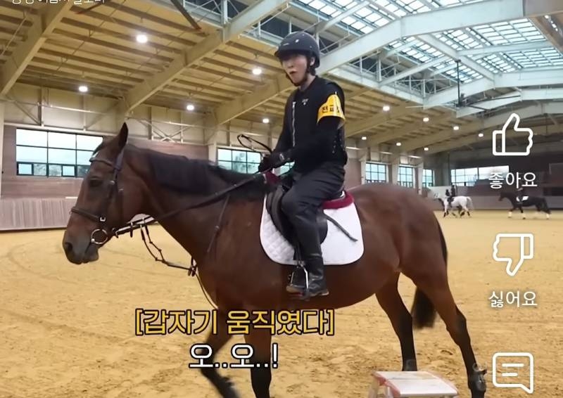소싯적에 승마좀 해봤다는 아이돌.jpg | 인스티즈