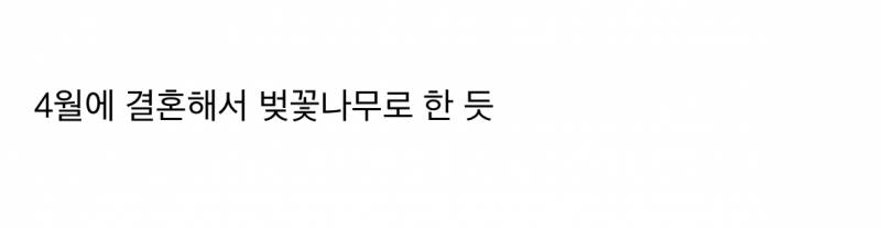 신라호텔 다이너스티홀을 벚꽃나무로 채운 티아라 효민.JPG | 인스티즈