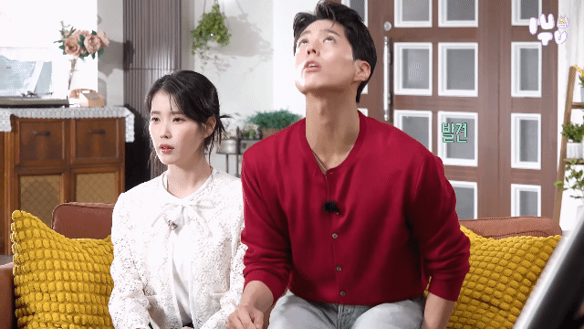 [잡담] 아이유 박보검한테 미치고 싶지 않으면 함부로 들어오지마 | 인스티즈