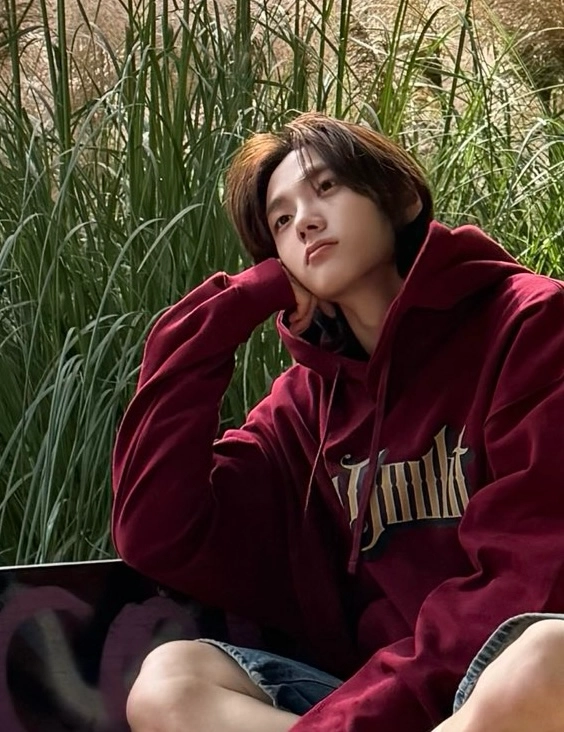 이제 다들 집 들어왔을 것 같으니 셔터 닫아요 | 인스티즈