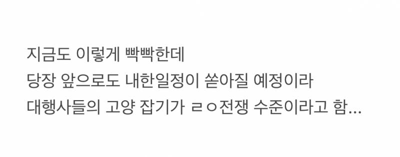 🚨얼떨결에 애물단지에서 월클된 고양시 운동장🚨 | 인스티즈