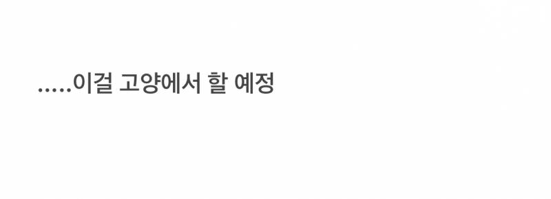🚨얼떨결에 애물단지에서 월클된 고양시 운동장🚨 | 인스티즈