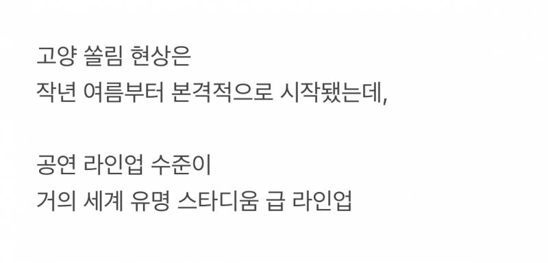 🚨얼떨결에 애물단지에서 월클된 고양시 운동장🚨 | 인스티즈