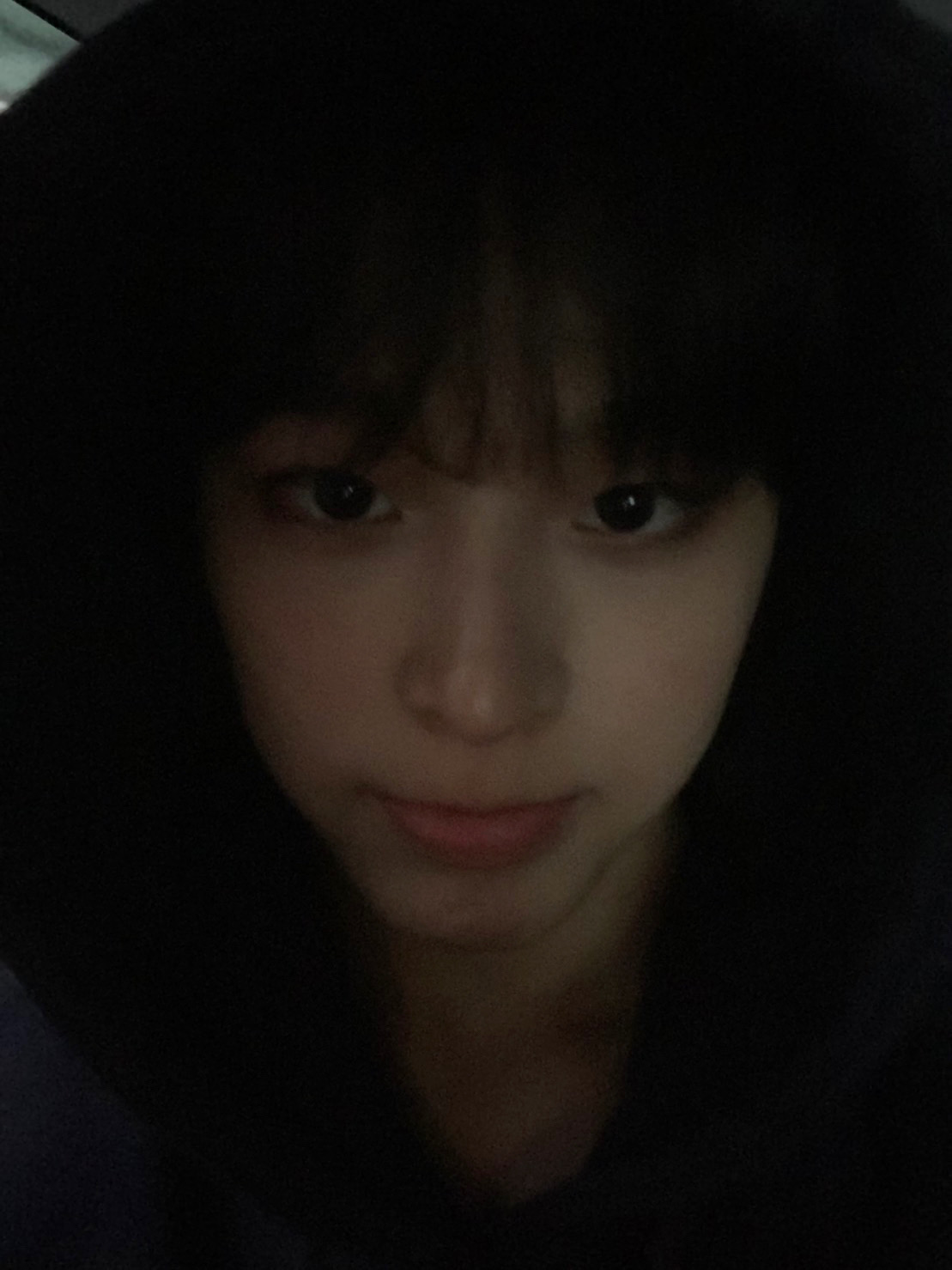 [잡담] 후쿠이쫀득쿠키를 소개합니다 | 인스티즈