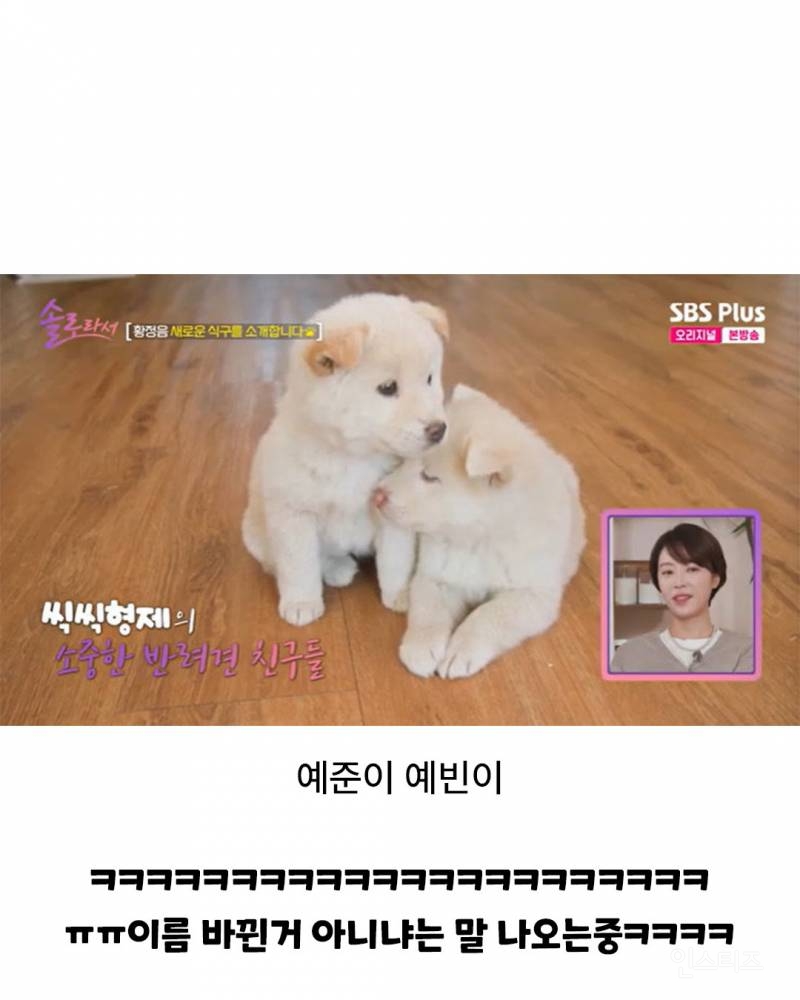 황정음 아들 둘, 강아지 둘 이름.jpg | 인스티즈