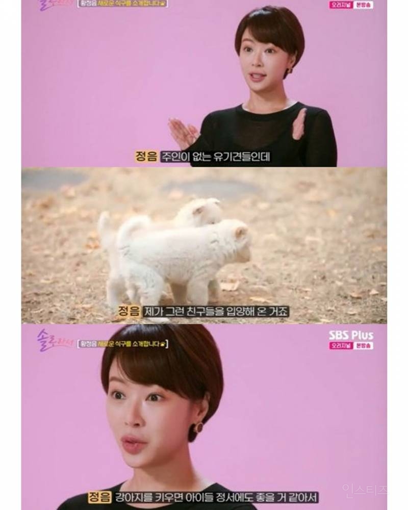 황정음 아들 둘, 강아지 둘 이름.jpg | 인스티즈